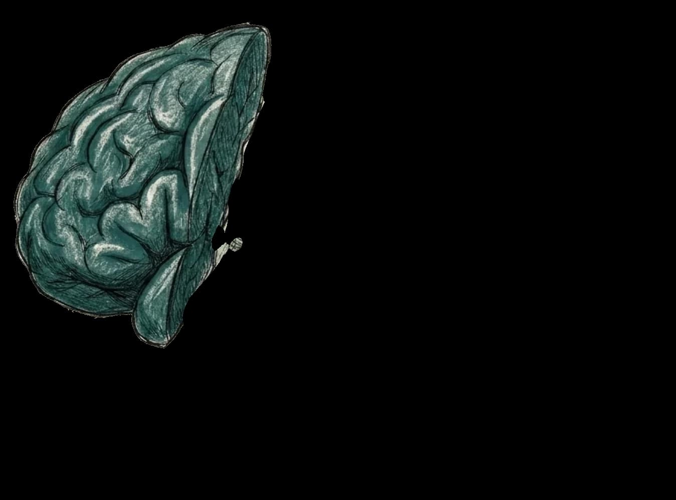 Anatomical illustration of the analyst's brain in three regions: context, your processes, and tools